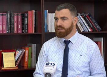 Sulmet nga qentë endacakë, AUV ndanë 700 mijë euro për trajtimin e tyre