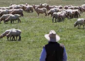 Fermeri nga Prizreni thotë se e fitoi por nuk iu dha subvencioni nga 2017-a