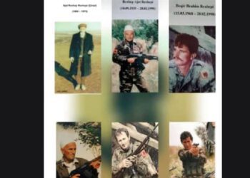 Letra e vajzës së dëshmorit e cila përloti shumë njerëz