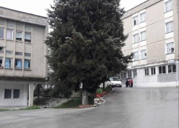 Mantelbardhët po humbin betejën me koronavirusin, vdes mjeku i spitalit të Gramshit