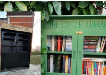 Dallimi i minibibliotekave Në Prishtinë dhe në Britani të Madhe