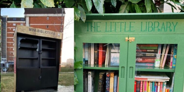 Dallimi i minibibliotekave Në Prishtinë dhe në Britani të Madhe