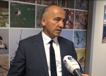 Zeqiraj: Koka e krimit është Gazmend Muhaxheri