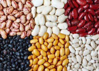 Fasulet i shërojnë këto sëmundje mjaft të përhapura