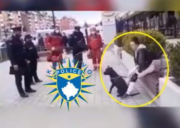 Policia jep detaje pë rastin e vajzës që nuk i vendosi maskën qenit