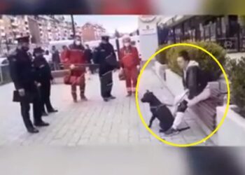 Nuk i vendosi qenit maskë, policia i hedhë gaz lotësjellës gruas në Prishtinë