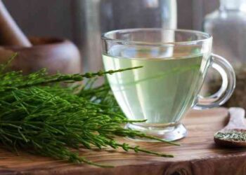 Çaji nga kjo bimë mjekësore forcon nyjat, indin lidhor