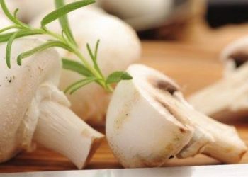 Ngrënia e shumë kërpudhave zvogëlon rrezikun nga kanceri