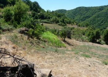 12 vjeçarja bie në një humnerë në Përmet, nierrët e gjallë