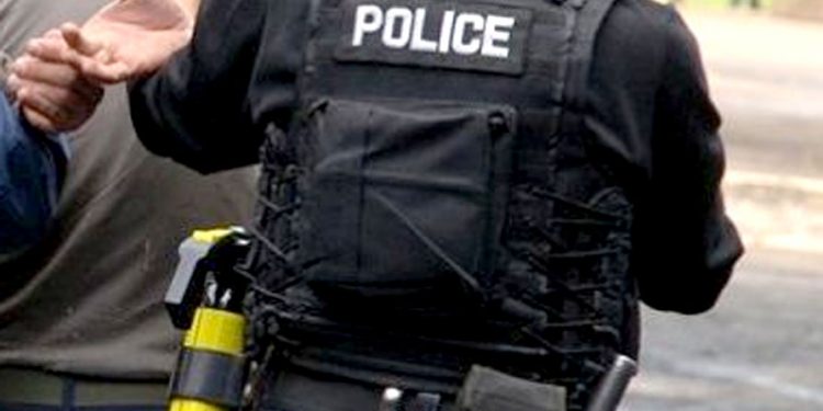 Në Gjilan djali kanos nënën