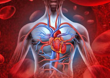 Këto janë shenjat e para që ta kuptoni që enët e gjakut janë bllokuar dhe kanë probleme