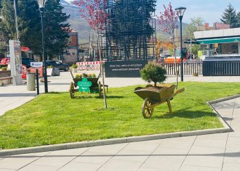 Deçani vendosë lula për të zbukuruar ambientin e qytetit