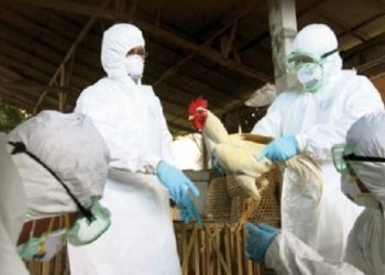 Thaçi: Rreth 10 ferma në Kosovë janë asgjësuar nga Gripi i Shpezëve