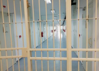 Policia kapë në flagrancë dogën të burgosurit