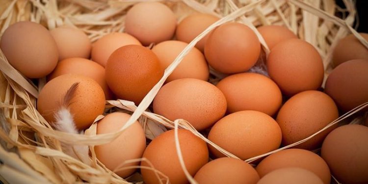 Policia e Kosovës konfiskon 72 mijë vezë në Vërmicë