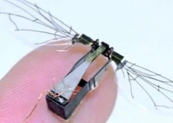 Mikro-dronët, të bazuar në lëvizjen biomekanike të zogjve dhe insekteve