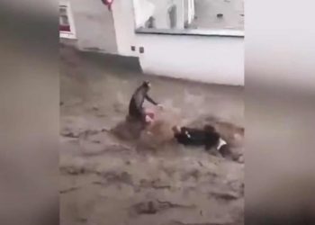 Përpjekja e 2 burrave për t’iu shpëtuar përmbytjeve në Austri