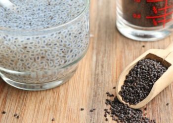 Farat e borzilokut kanë një rëndësi të veçant për organizmin e njeriut