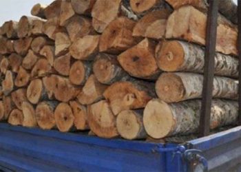 Gjilanasi dyshohet se ka kontrabanduar dru nga Serbia, nuk i ndalet patrullës policore