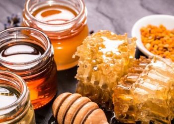 Bletarit nga Prizreni dikush ia vodhi 900 kilogramë mjaltë