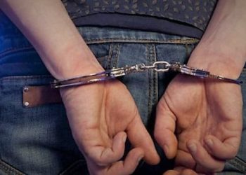 Ndodh në Malishevë: E vrau qenin pasi ia kafshoi djalin