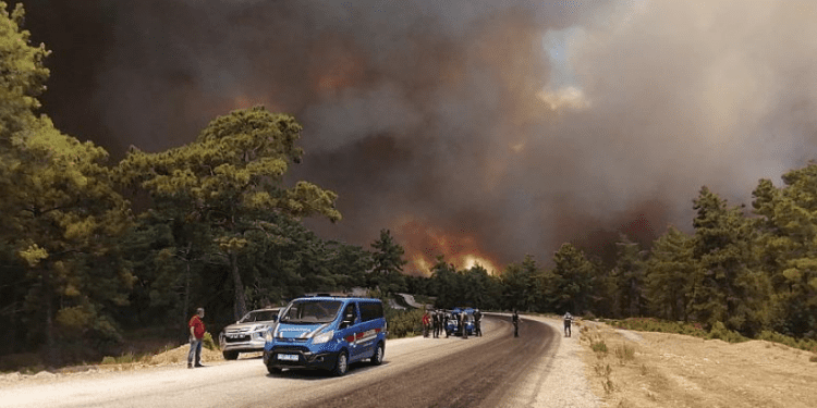 Zjarre në jug të Turqisë, 3 persona mbesin të lënduar