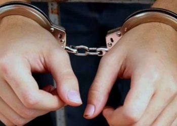 Vushtrri, gjermani sulmon fizikisht gruan