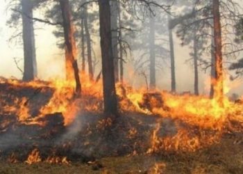 Policia jep detaje për zjarrin në Malin e Rugovës