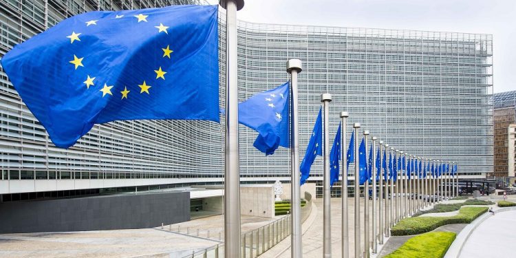 BE e gatshme të marrë pjesë në monitorimin e zgjedhjeve lokale