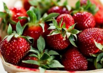 Roladë me dredhëza