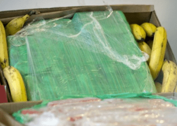 Policia malazeze kap mbi 1 tonelatë kokainë, ishte fshehur në kuti me banane