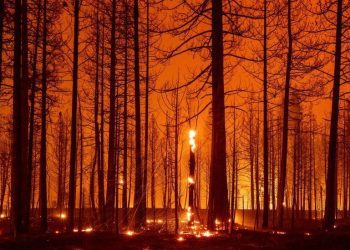 Raporti mbi ndryshimet klimatike publikohet të hënën, dokument kyç për samitin e Nëntorit