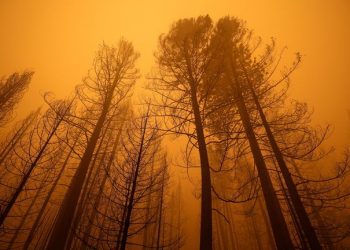 Korriku u shënua si muaji më i nxehtë në histori