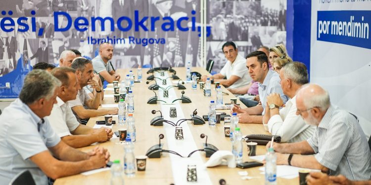 Abdixhiku takim me udhëheqësit e degës së LDK-së në Gjermani dhe Suedi