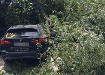 Peja përshkohet nga erëra të fuqishme, rrëzohen disa lisa