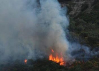 Arrestohet një person i dyshuar për zjarrëvënie në fshatin Babimovc të Obiliqit
