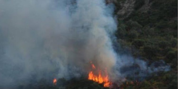 Arrestohet një person i dyshuar për zjarrëvënie në fshatin Babimovc të Obiliqit