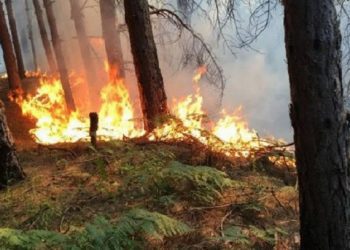 Ja dënimet për zjarrvënie të qëllimshme në Kosovë, ndër to edhe burgimi i përjetshëm