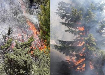 Bashkim Ramosaj: Zjarret në Zllonopoj u menaxhuan me sukses