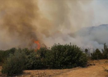 Ja sa mund të zgjas burgu për zjarrvënie të qëllimshme