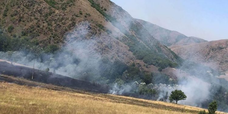 Situata me zjarre në Kosovë sipas Agjencisë për Menaxhimin Emergjent