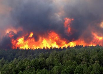 6 vatra aktive me zjarre në Shqipëri