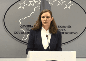 ​Rizvanolli: Kemi nevojë për më shumë informata për gazsjellësin