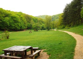 Vazhdon të mbetet e mbyllur Gërmia, kërkohet ariu
