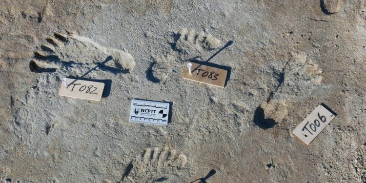 Gjenden gjurmë njeriu që datojnë prej 23 mijë vitesh