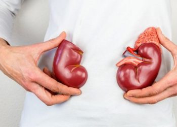 Ushqimet që i konsumoni çdo ditë e që mund t’i dëmtojnë veshkat