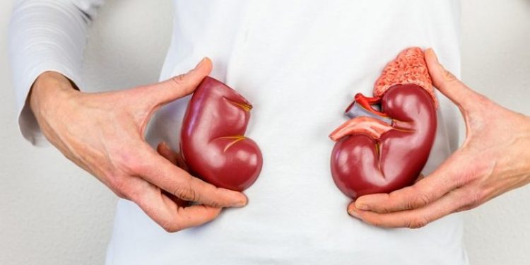 Ushqimet që i konsumoni çdo ditë e që mund t’i dëmtojnë veshkat