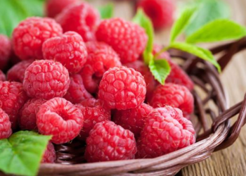 Mjedren duhet ta konsumoni çdo ditë, ka vlera fantastike