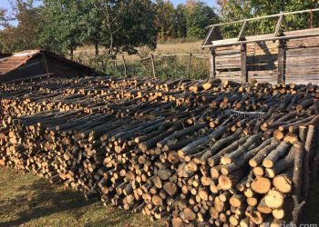 60 euro një metër dru në Kosovë, qytetarët ankohen!