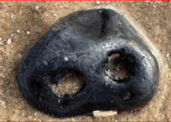 Këto foto të bëjnë që t’i shikosh 2 herë, ja arsyeja (FOTO)!